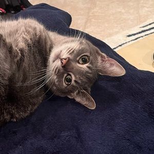 Meet your Posher, Luis